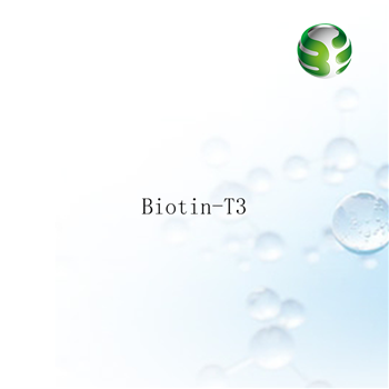 Biotin-T3